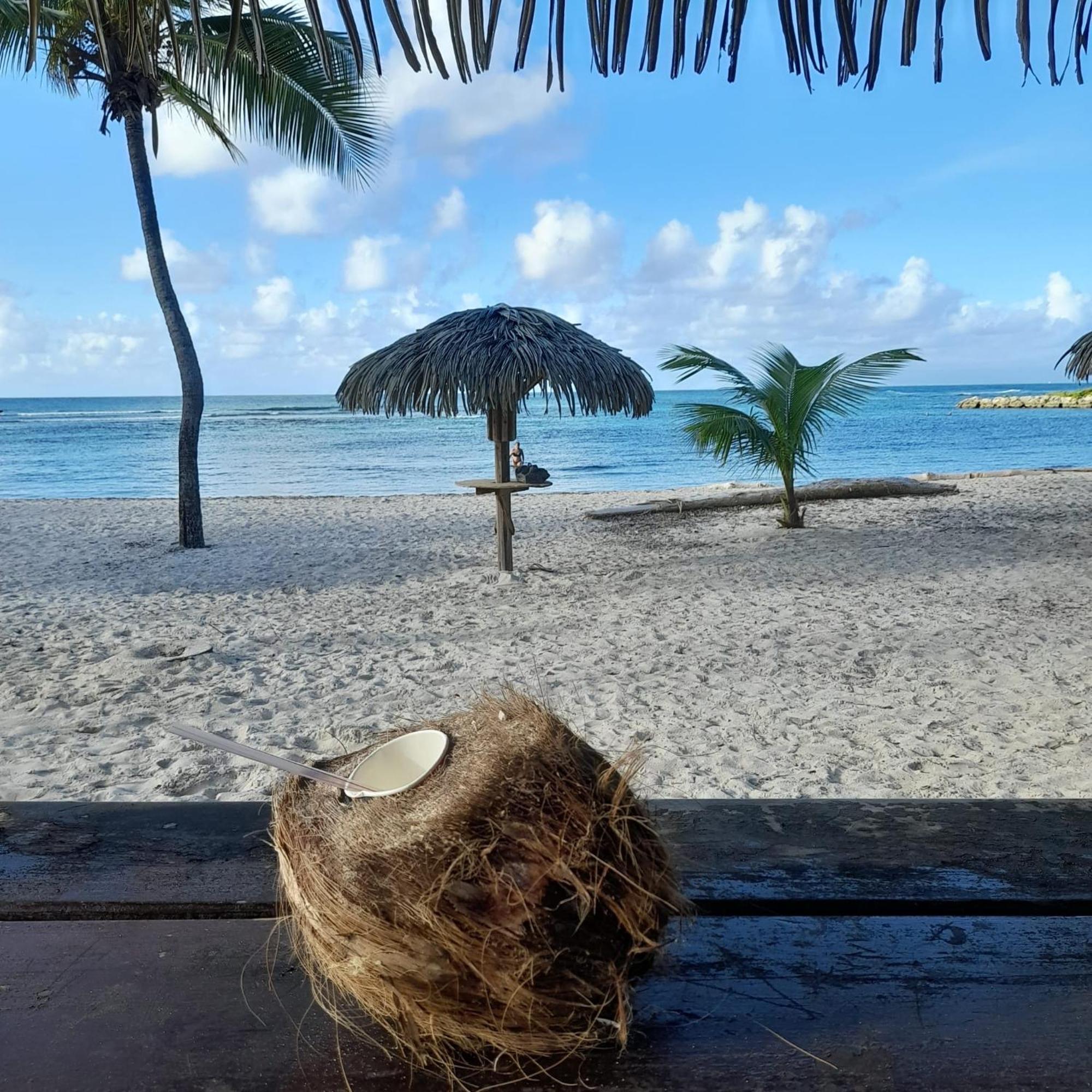 Appartement Bumbu 626 Anse Des Rochers Saint-Francois  Esterno foto