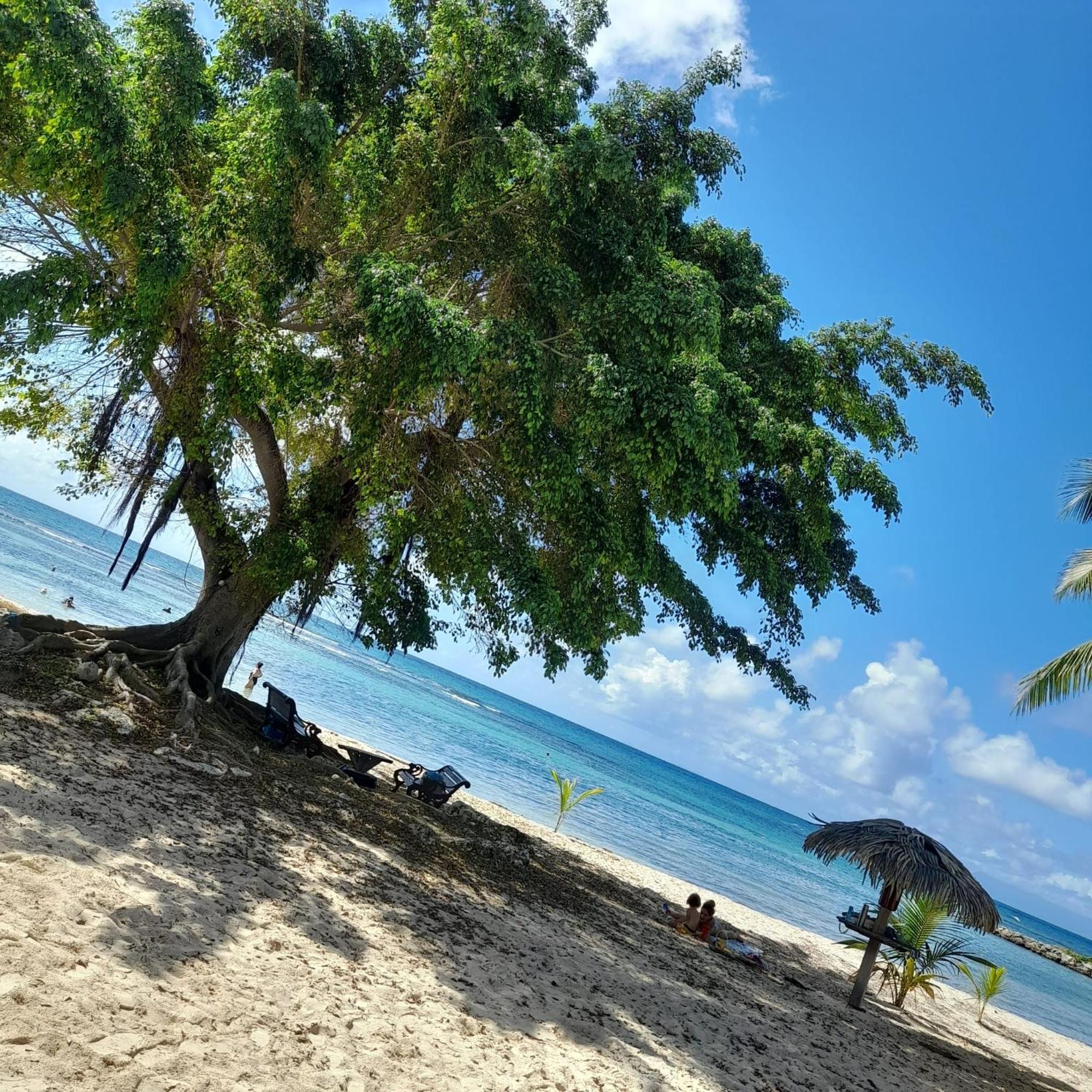 Appartement Bumbu 626 Anse Des Rochers Saint-Francois  Esterno foto